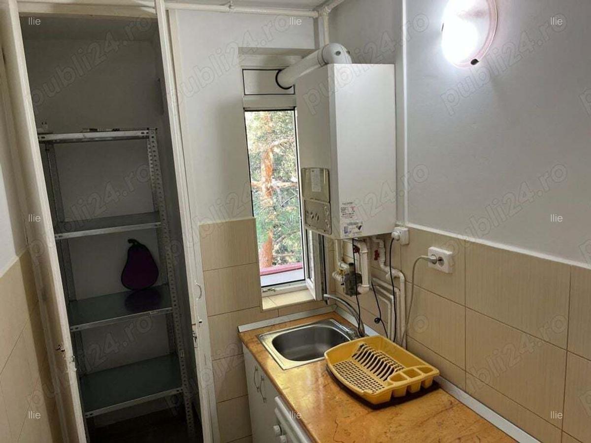 Apartament ingrijit cu Brazi la balcon - 7