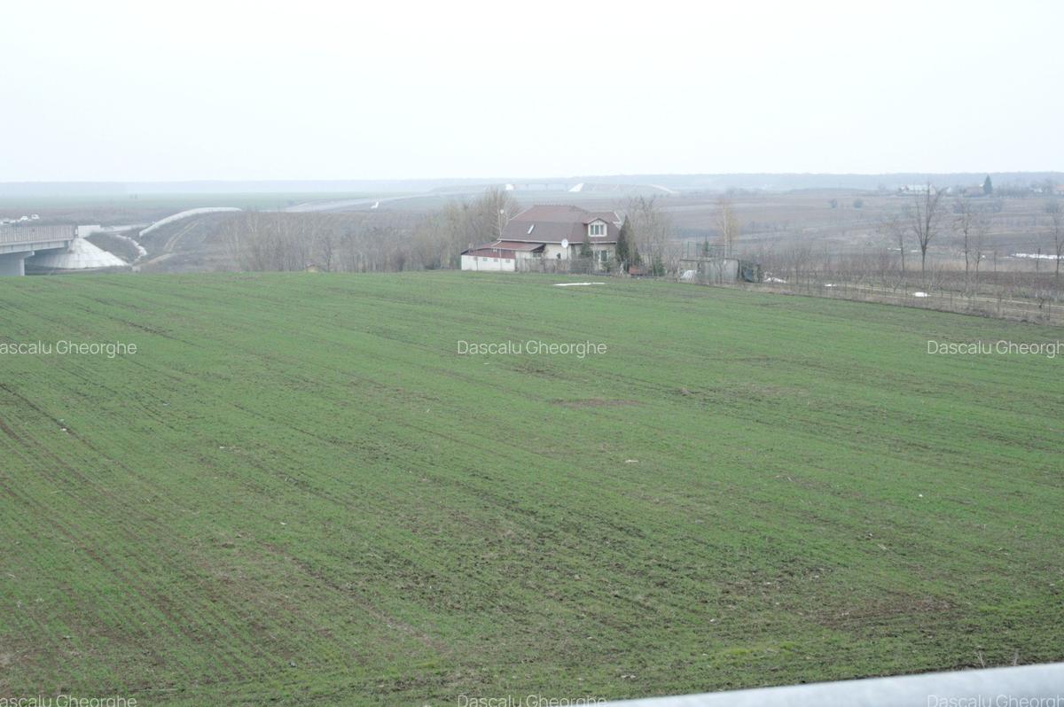 PARTICULAR, 10.200 mp. teren intravilan Moara Vlasiei, langa nodul A3 si Balta - 4