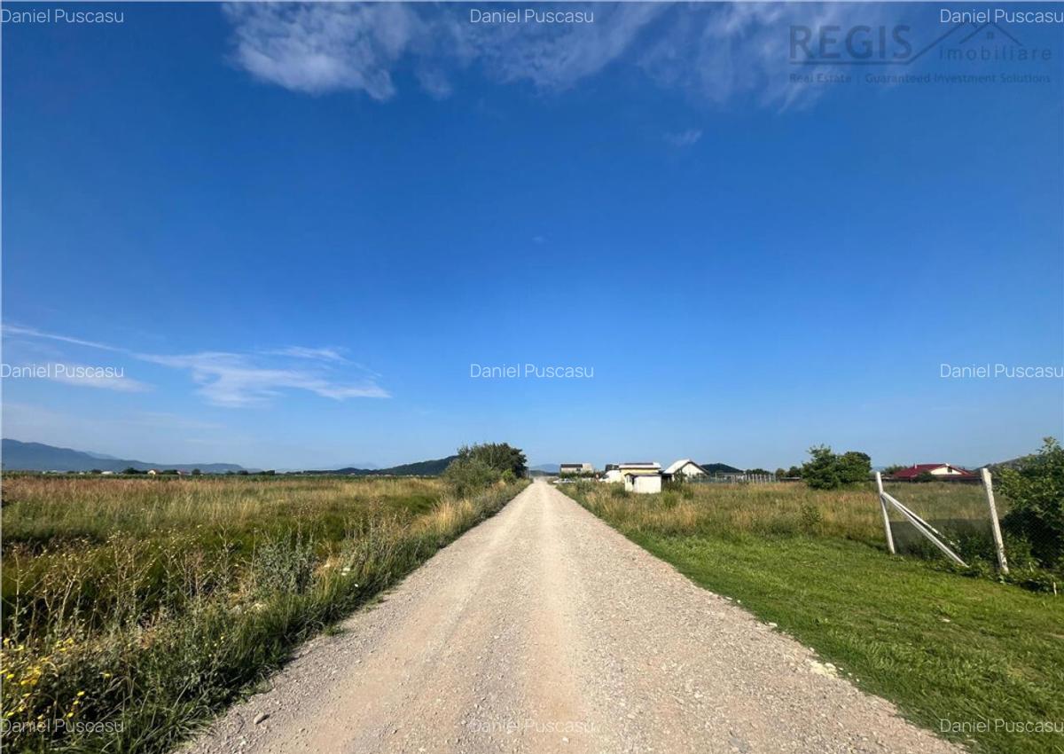 TEREN INTRAVILAN, HARMAN - 2