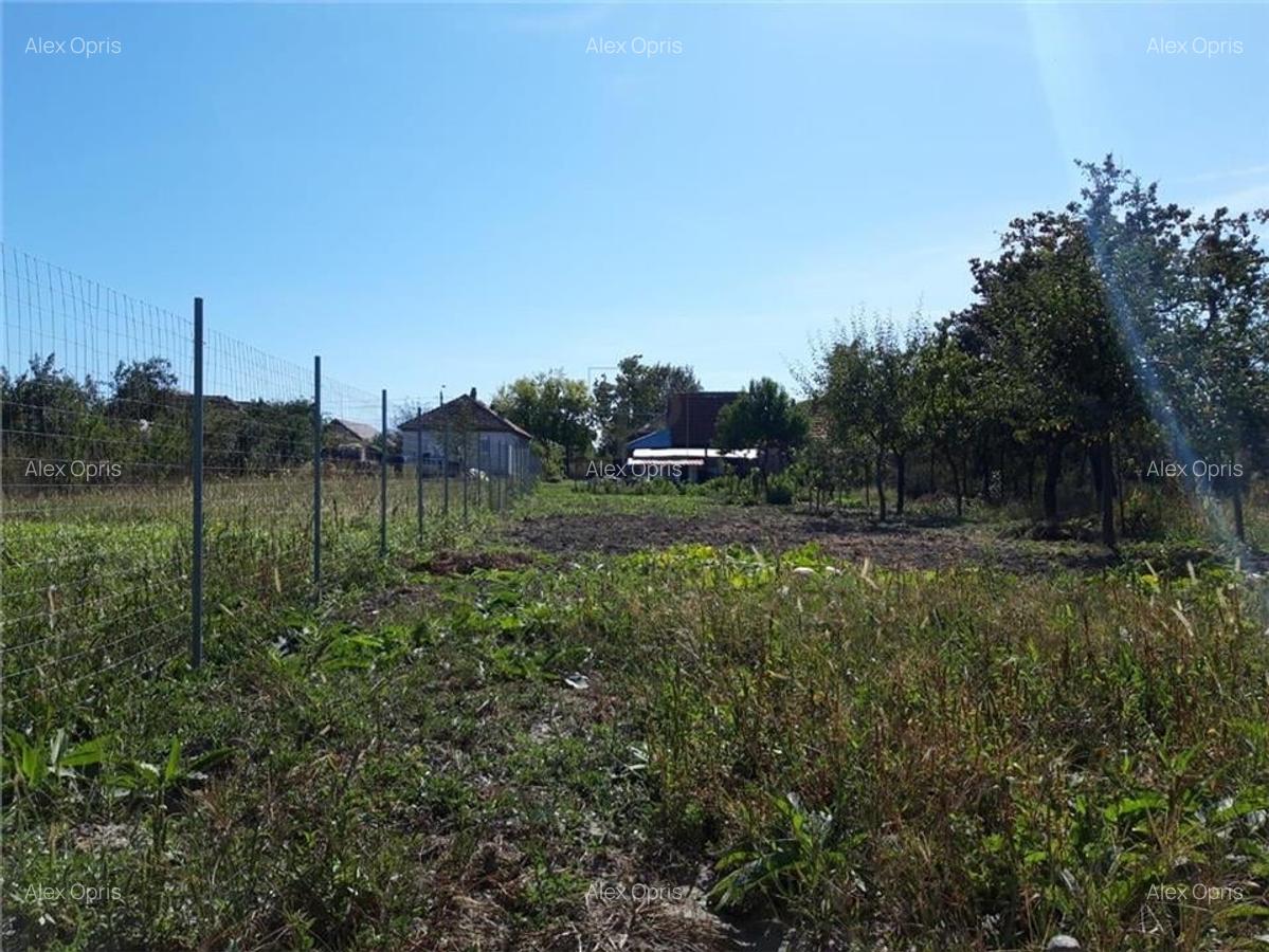 Casă cu teren generos de 1057 mp ? Ghiroda, zona centrală - 10
