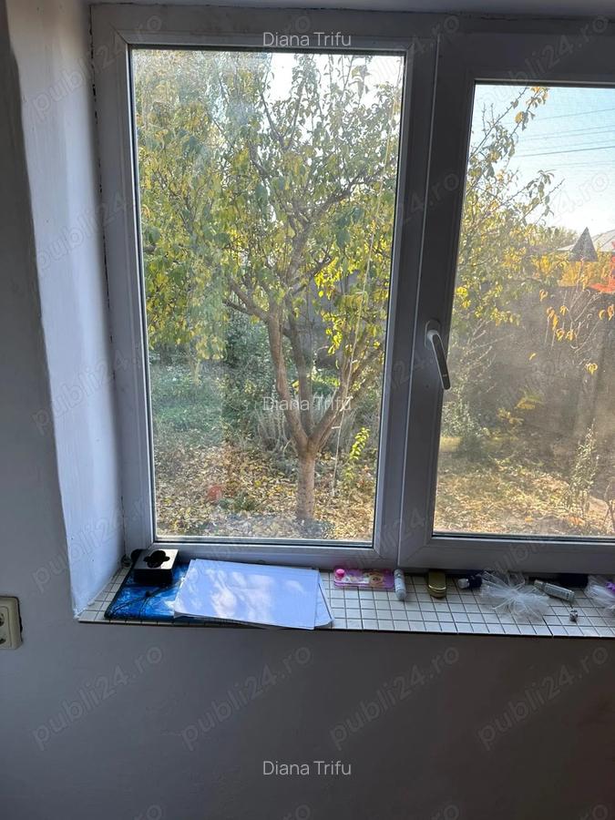 2 case in Comuna Salcia Jud. Teleorman + 7500 mp teren intravilan - 8