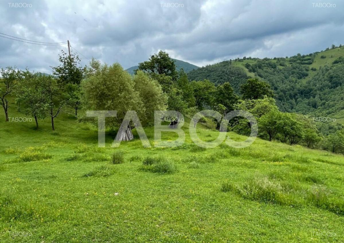 Teren intravilan de vanzare in Martinia de sus - 4