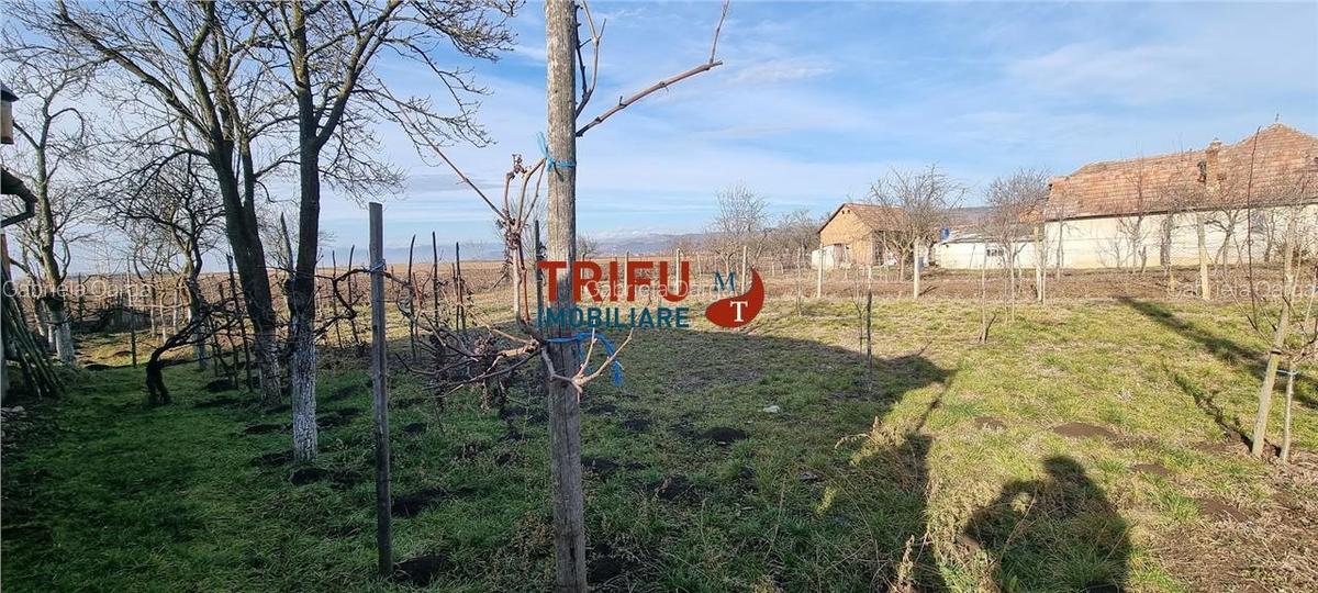 Casa cu doua corpuri de locuit in Mihalt - 18