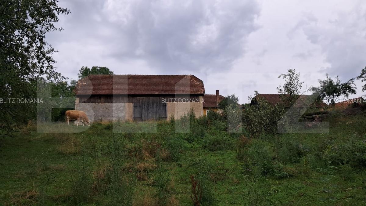 Proprietate in Iara 6.000  teren, ideala pentru casa sau investitie - 7