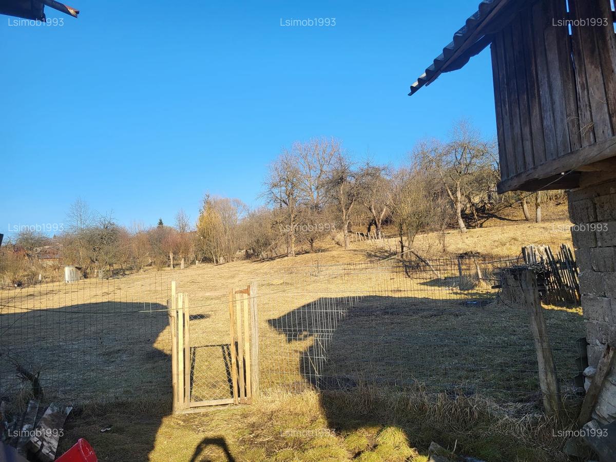 De vanzare casa taranesca cu 3 camere si teren - 5