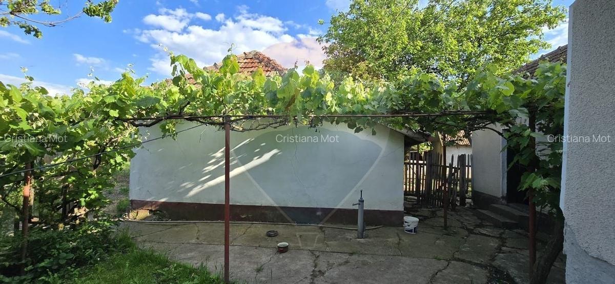 Casa  cu livada 2880 mp in Adea la 4km de Chisineu-Cris - 12