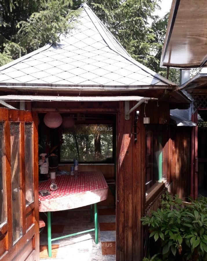 Casa Sunatori, Vatra Dornei, Suceava - 7