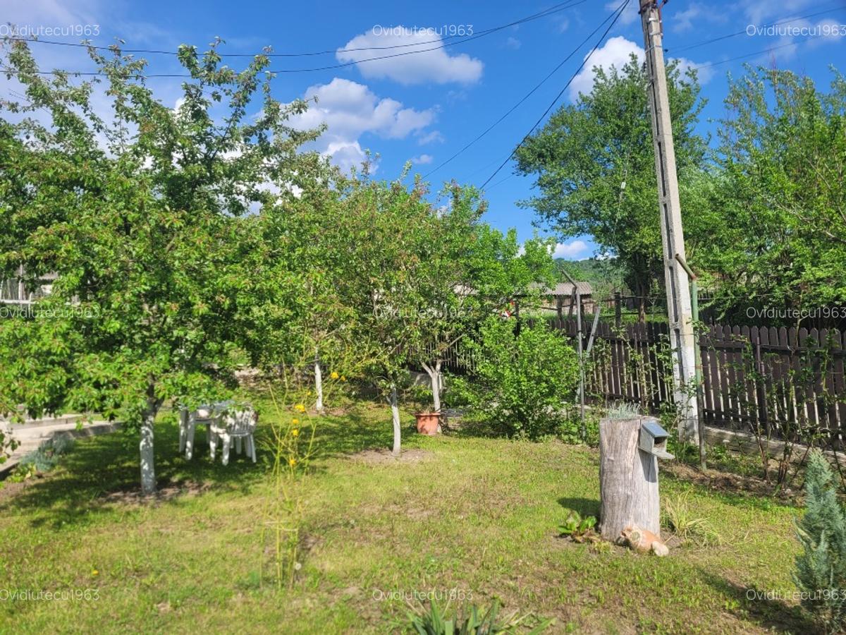 Vand casa la munte ,cu utilitati(apa,en.el)amenajata semirustic,panorama super.! - 3 Vand casa la munte ,cu utilitati(apa,en.el)amenajata semirustic,panorama super.! - 3