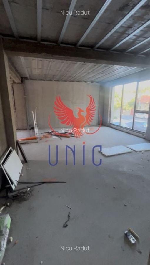 2 camere zona Gradina Botanica - 6