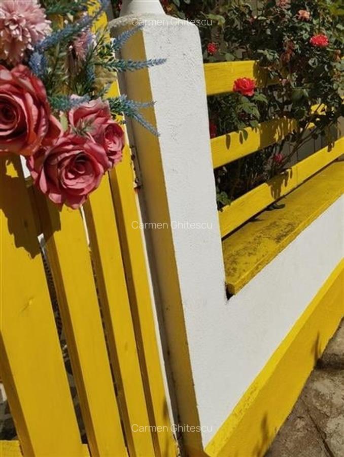Vila de vanzare cu iesire (ponton) la lacul Snagov, in Izvorani - 25