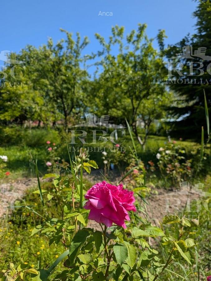 Teren pentru constructie casa in Faget - 5