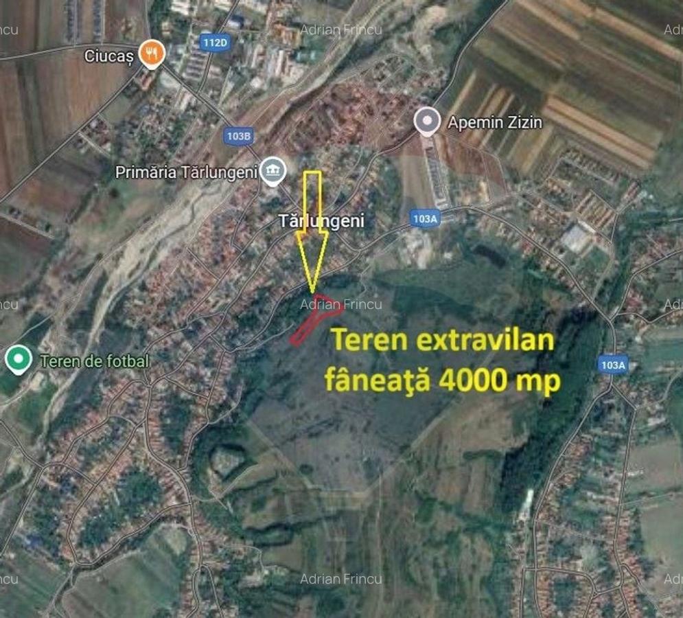 Teren extravilan, faneata, 4000 mp, Tarlungeni - 2