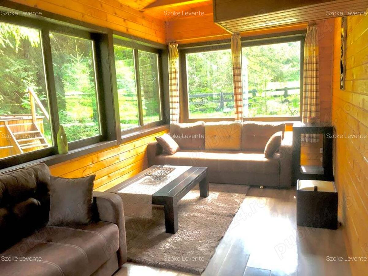 Casa din grinzi pe marginea paraului Borzont - 3