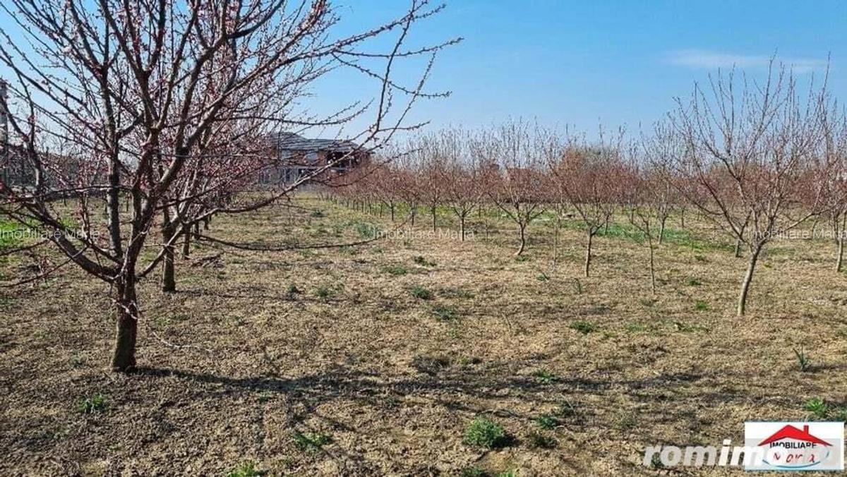 Teren intravilan 10 arii in Vetis ( ID 22844) - 2