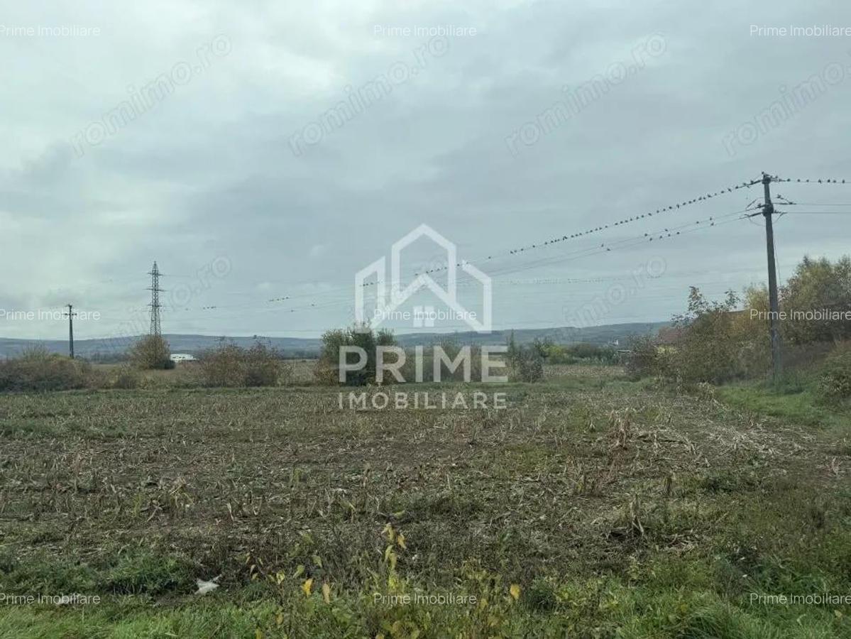 Teren intravilan 2500 mp | UTILITATI | ZONA DE CENTURA - ALBA IULIA | - 1 Teren intravilan 2500 mp | UTILITATI | ZONA DE CENTURA - ALBA IULIA | - 1