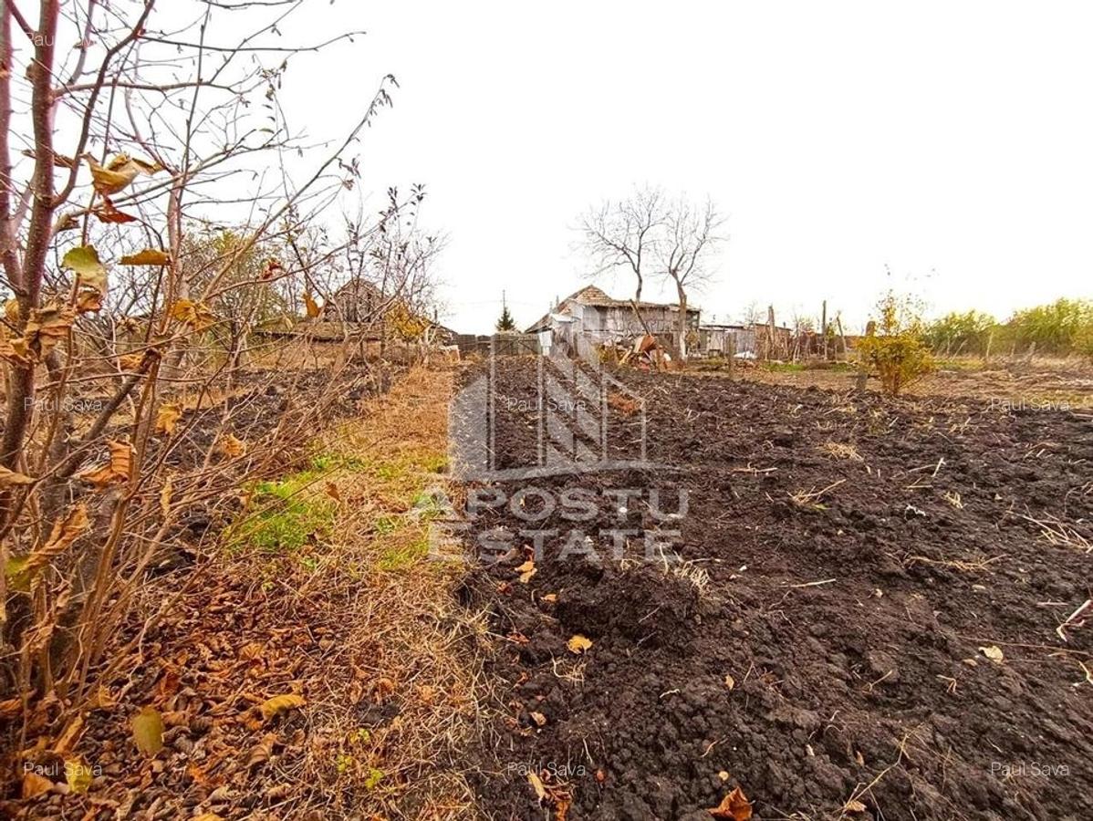 Teren 1000mp Cu Utilitati Dudesti Noi - 1