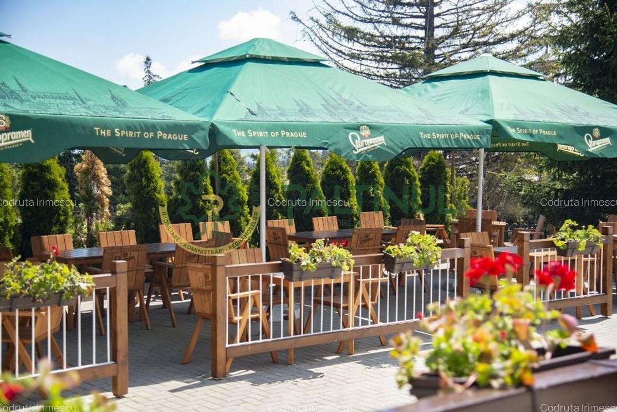 Afacere la Cheie - Pensiune 12 camere în Păltiniș - 11