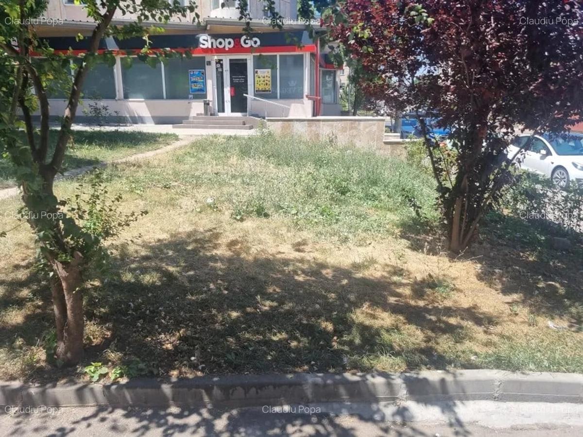 TEREN 250MP  |  CENTRAL  |  B-DUL MAMAIA - 2