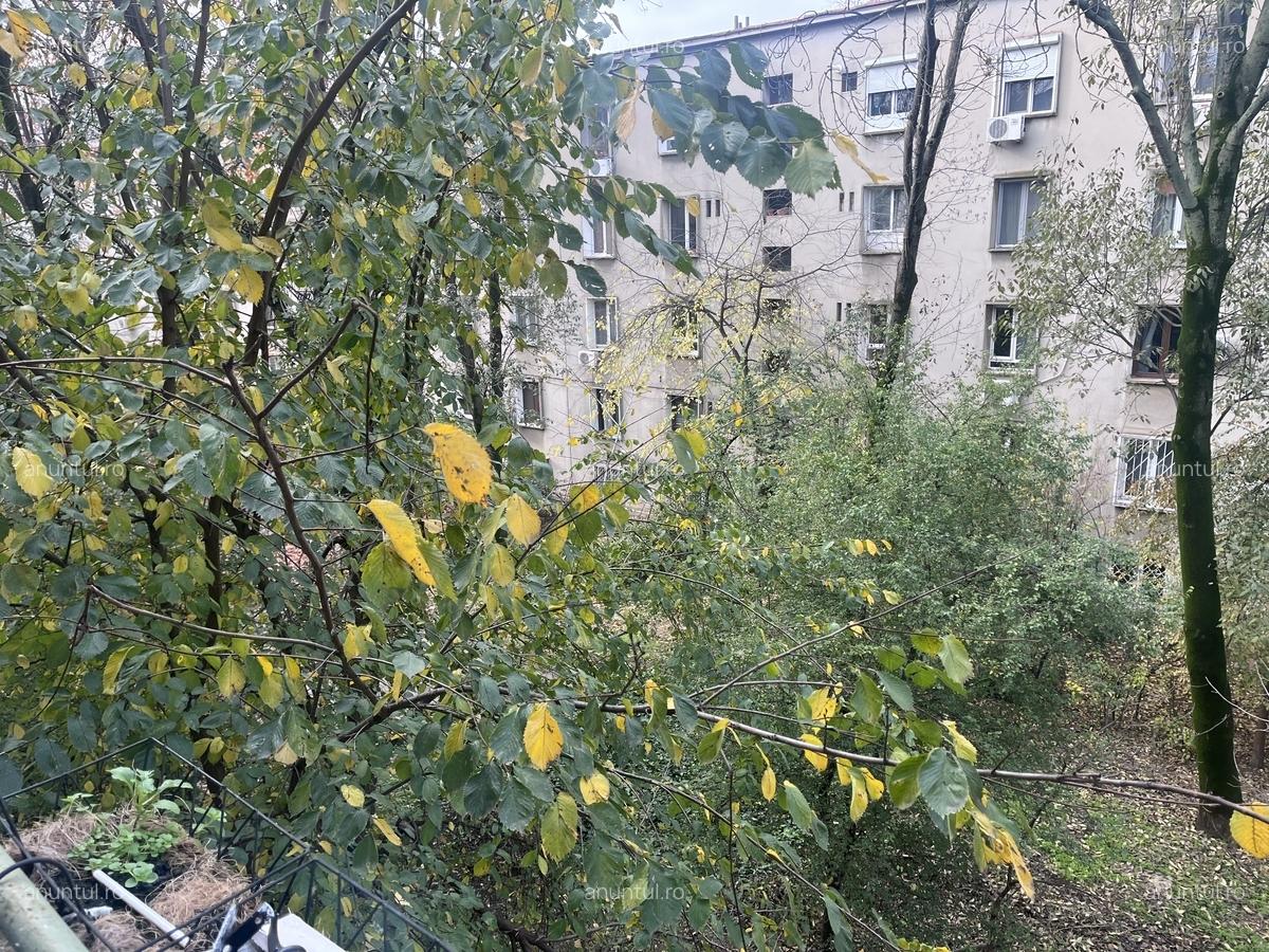 Floreasca, Compozitori - 8