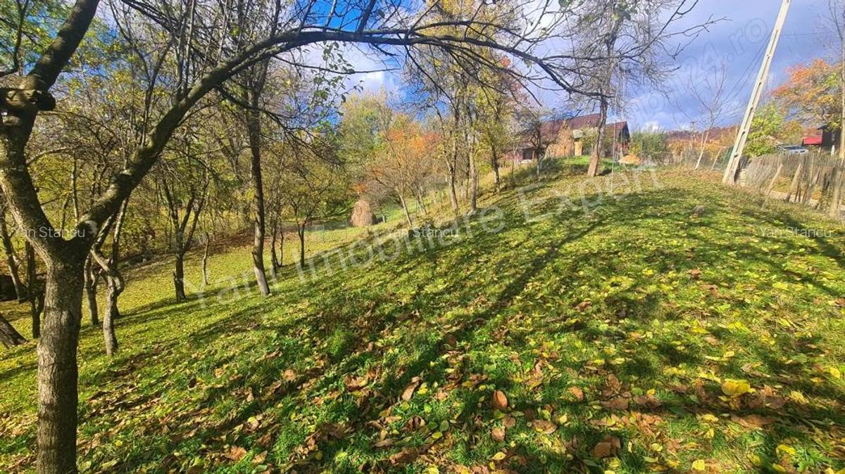 Teren de vanzare in comuna Arefu, jude? Arge?. - 9