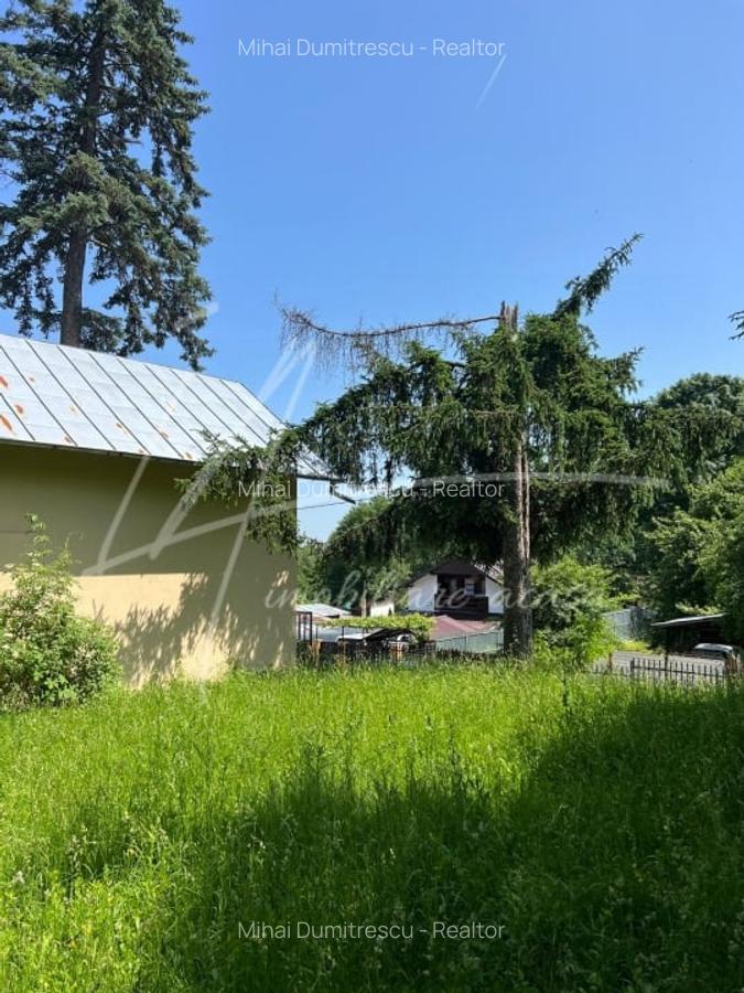 Teren intravilan de 1740 mp cu constructie in Provita de Sus-PH. Casa gratis! - 17