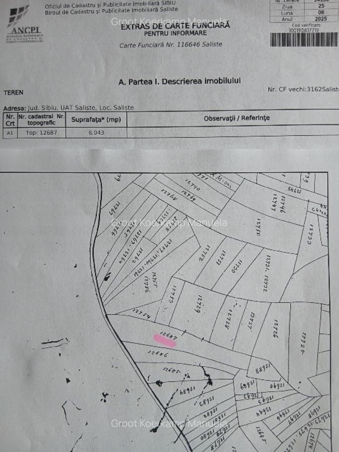 Vand teren montan 6.043mp , 20.000 euro, 55m deschidere- drumul Saliste - Crint - 4