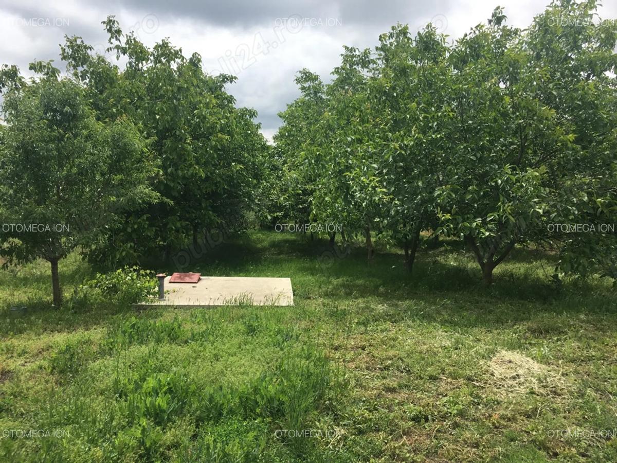 Casa de vanzare la cheie Comuna Traian, Jud. Teleorman - 4 Casa de vanzare la cheie Comuna Traian, Jud. Teleorman - 4