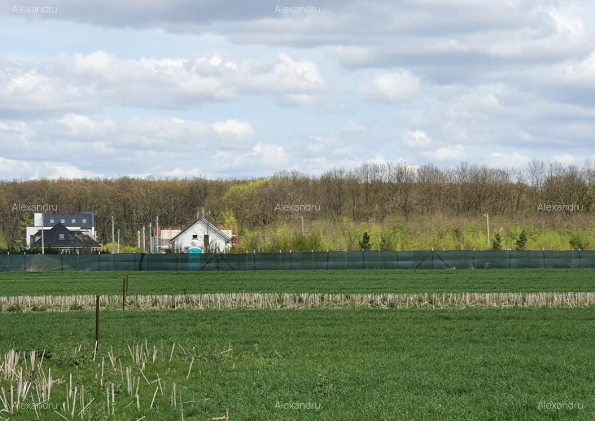 Teren langa padure si utilitati,800 mp,37000 euro - 7