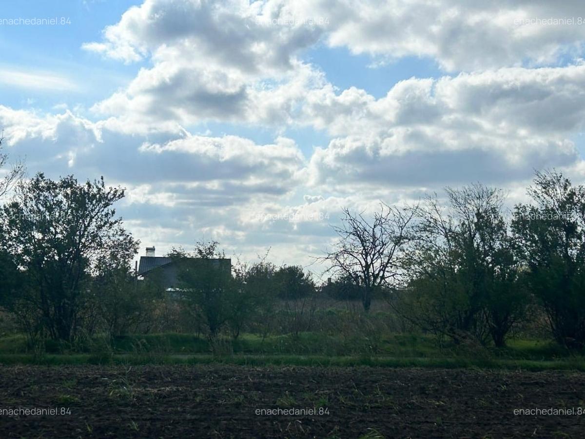 Ocazie unică! Teren generos de 2033 mp în comuna Pecineaga - 8