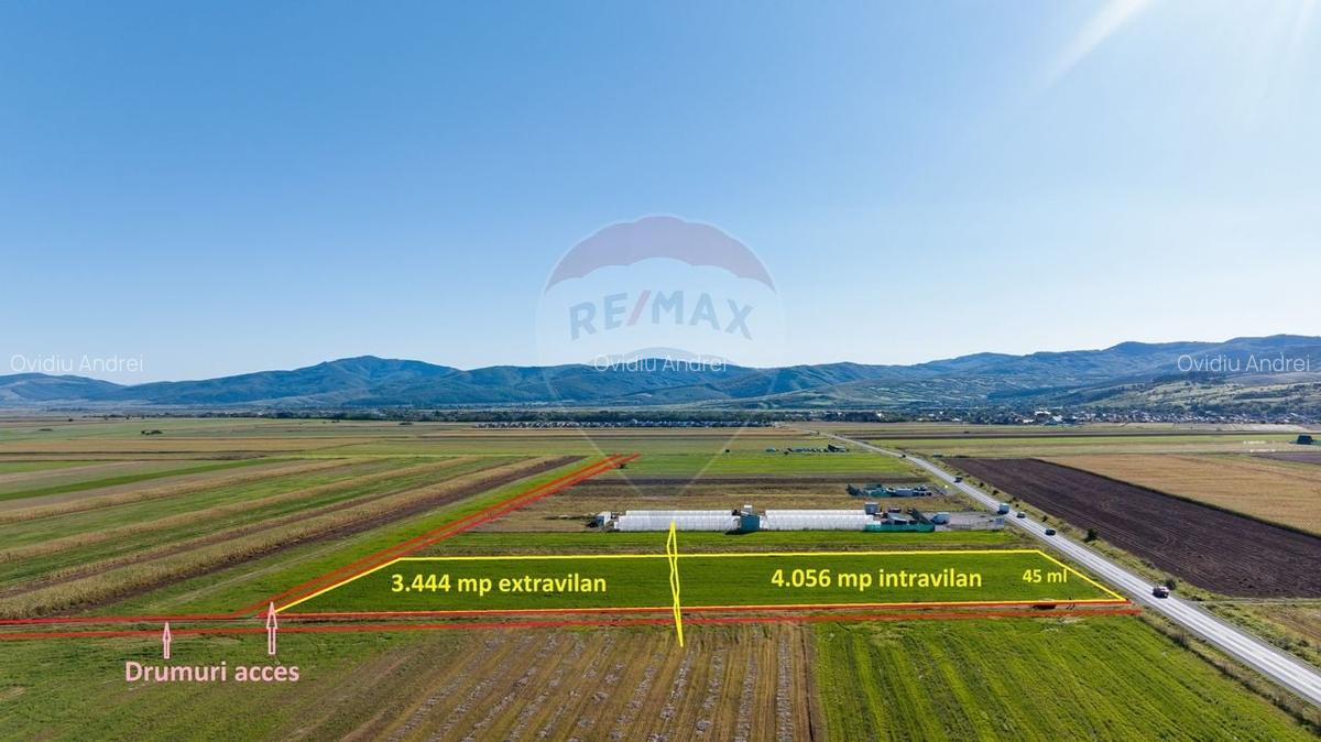 Teren 7,500mp Tarlungeni / Strada Zizinului - 2