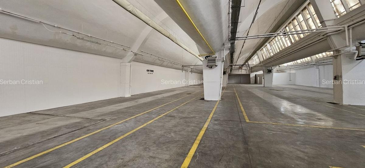 Pantelimon hala productie depozitare - 45