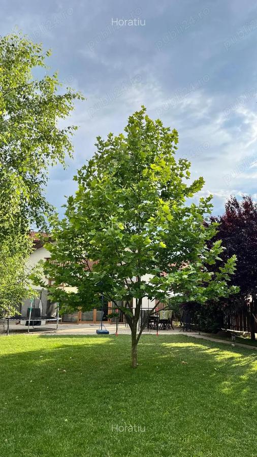 COMision0%.Casa Individuala.770 teren.Gradina Amenajata inclusiv plante decorative.Mobilata+Utilata - 17