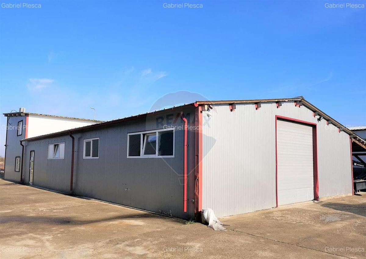 Hala Industriala, Parcul Industrial, Bor?, De Inchiriat - 1