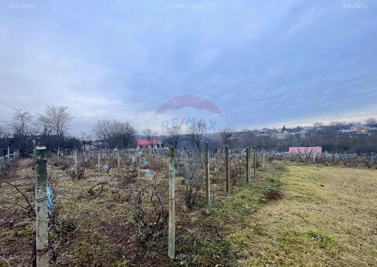 Casa cu teren Neicu/Panciu - 4