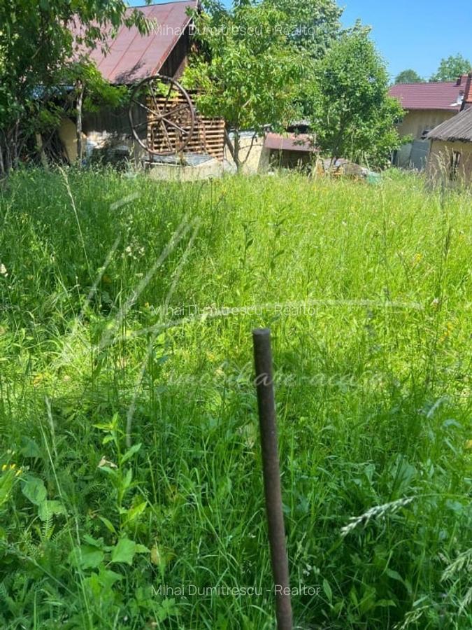 Teren intravilan de 1740 mp cu constructie in Provita de Sus-PH. Casa gratis! - 36