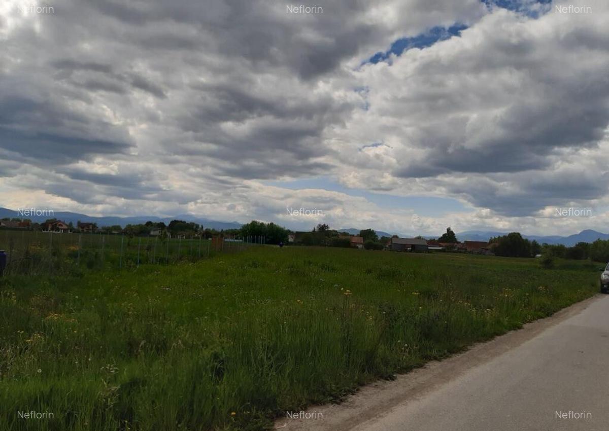 Teren intravilan 5000 mp construibil zona rezidentiala - 5