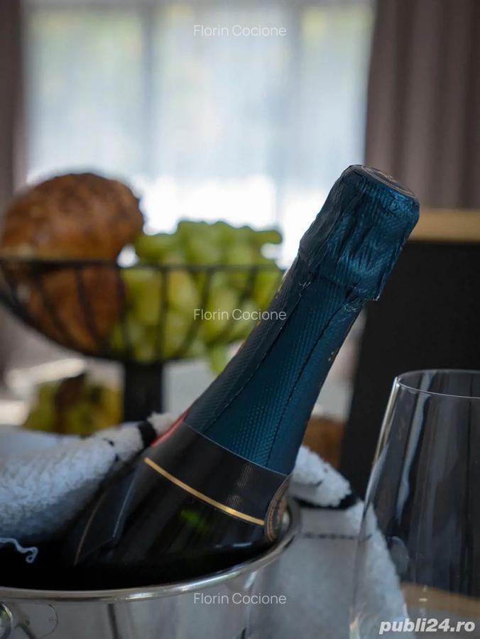 Regim Hotelier Doamna Ghica - 4 Regim Hotelier Doamna Ghica - 4