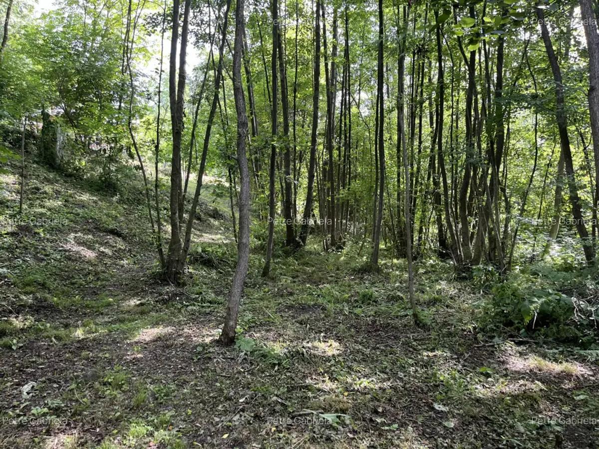 Casa situata intr-o zona superba - 4