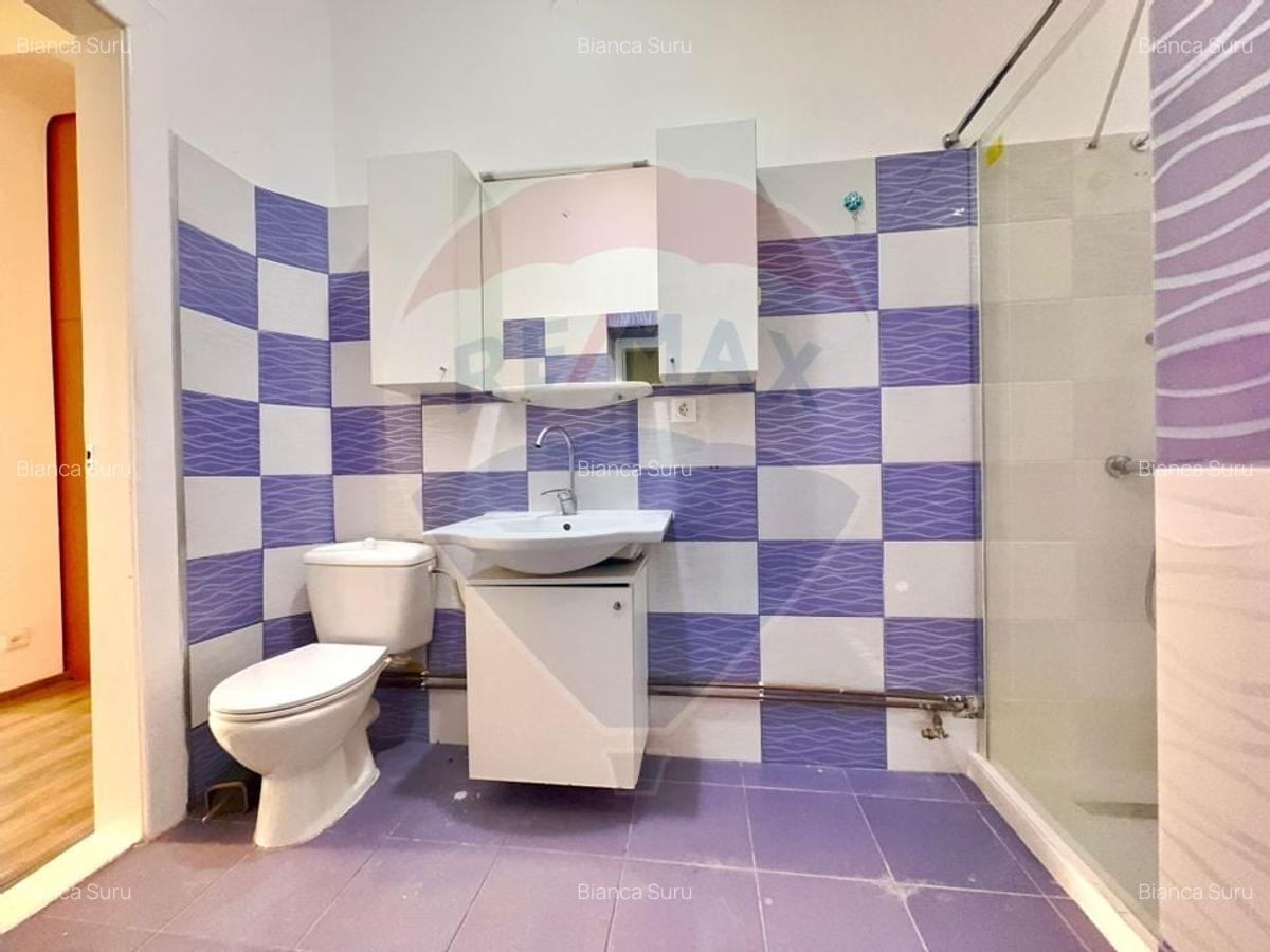Casa / Vila cu 6 camere de vanzare in zona Elisabetin - 10