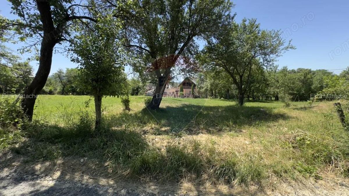 Teren De Vanzare Cu Excelenta Deschidere la Strada Langa Campulung - 7
