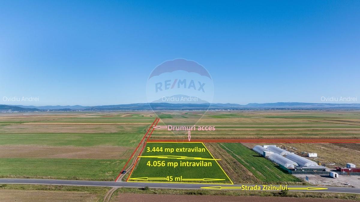 Teren 7,500mp Tarlungeni / Strada Zizinului - 3