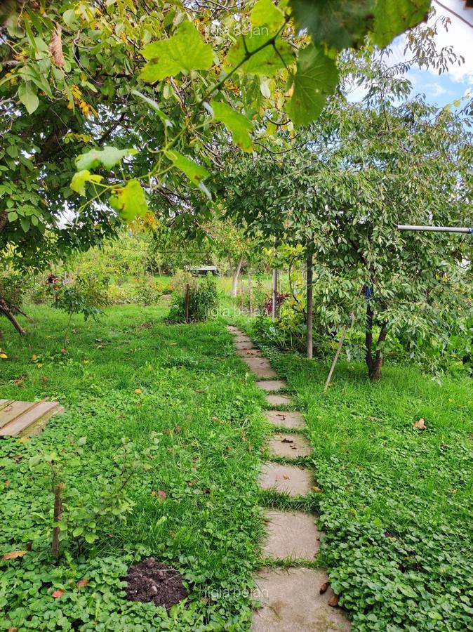 Casa de vanzare, Reghin - 9