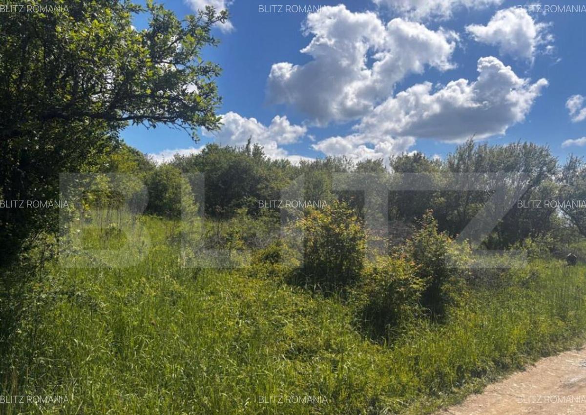 Teren extravilan de vanzare, 2500 mp, zona Valea Sigmirului - 3