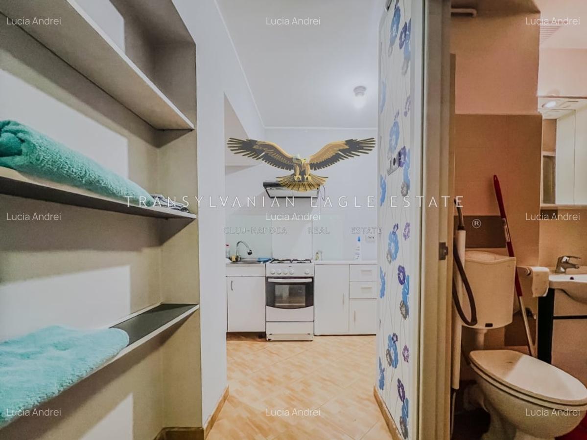 Apartament decomandat cu 3 camere in Plopilor - 10