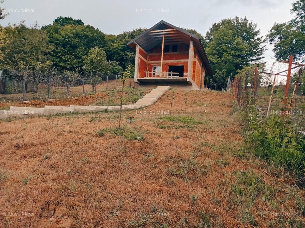 Proprietate Bascov , ''La rosu'' , zona DEOSEBITA !!! - 7