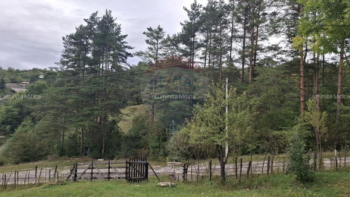 Teren cu priveliste spectaculoasa, 4000mp, la 18km de Sinaia - 11