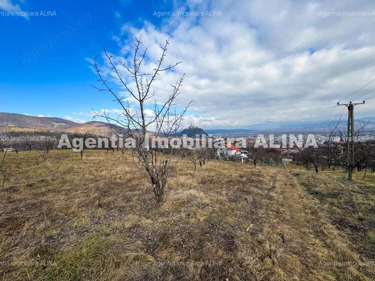 15 parcele de Teren intravilan in Deva, zona Calugareni, Strada Prunilor, Jud. Hd, cu PUZ, PUD, etc. - 16