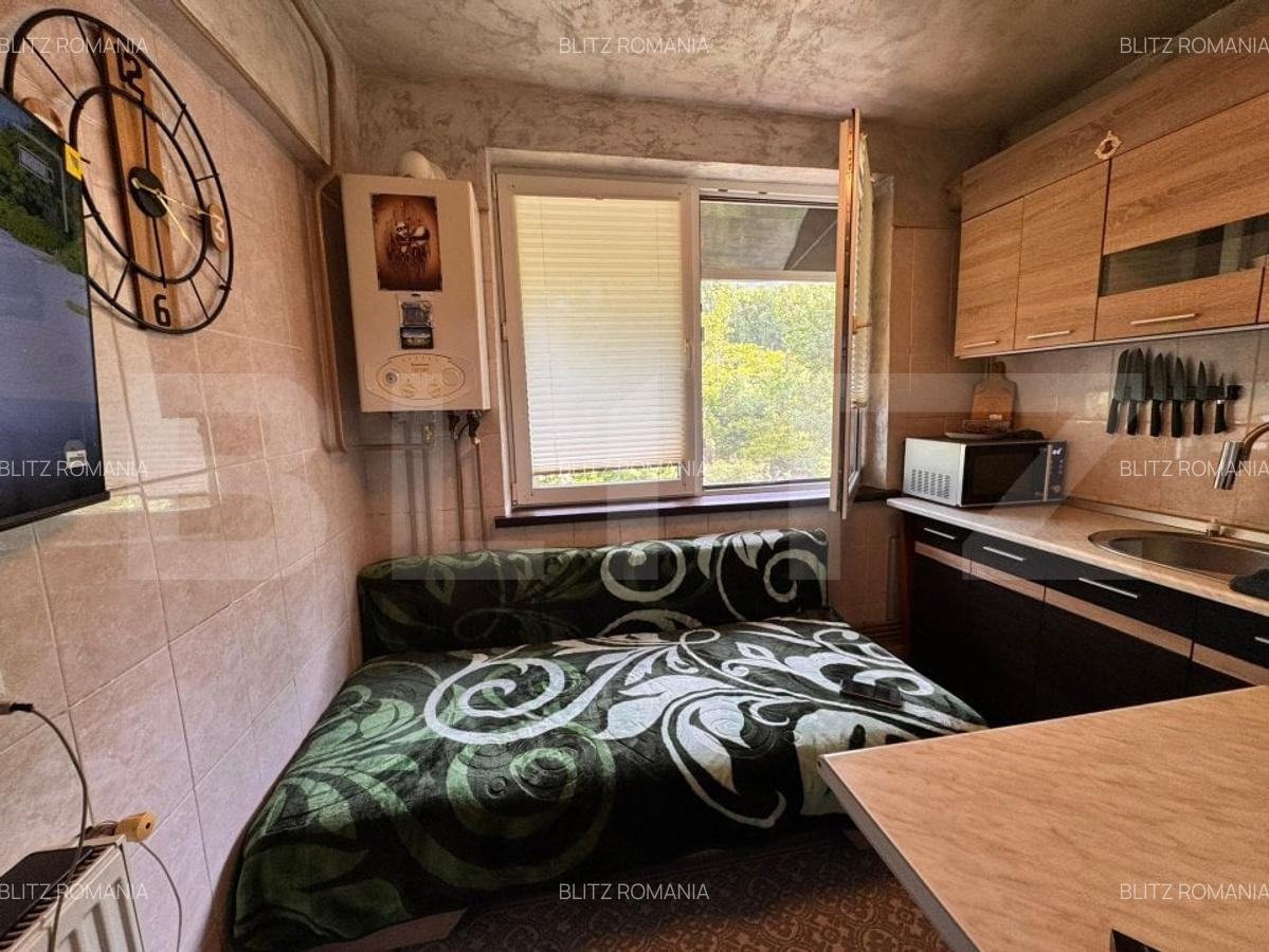 Apartament de vanzare, cu 1 camera, etaj intermediar, zona Siraj-Poitiers - 4