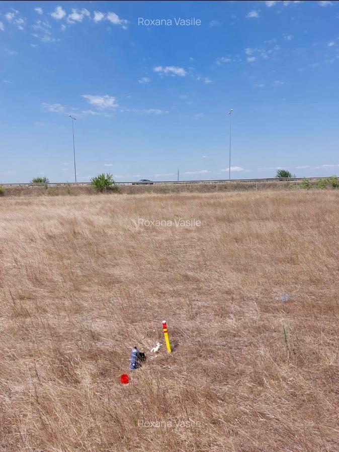 Vanzare  Teren intravilan  Matei Millo  - Teren  Pipera  Padure Baneasa - 5