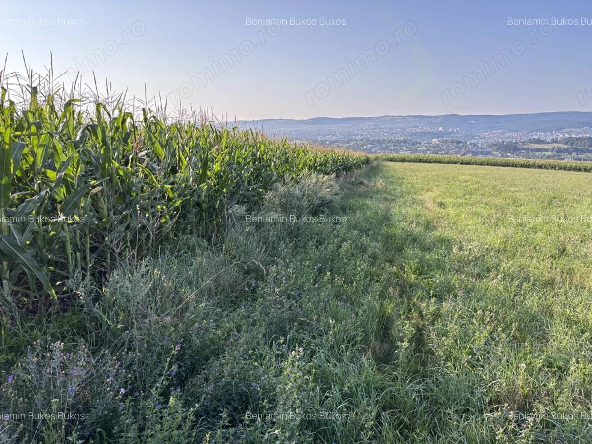 Arendez Inchiriez Preiau in arenda teren Zona Cluj - 1
